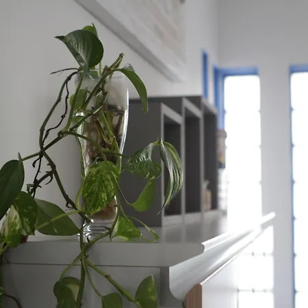 Sapore Di Mare سانتاغاتو دي ميليتي