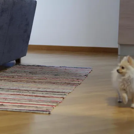 شقة Sapore Di Mare